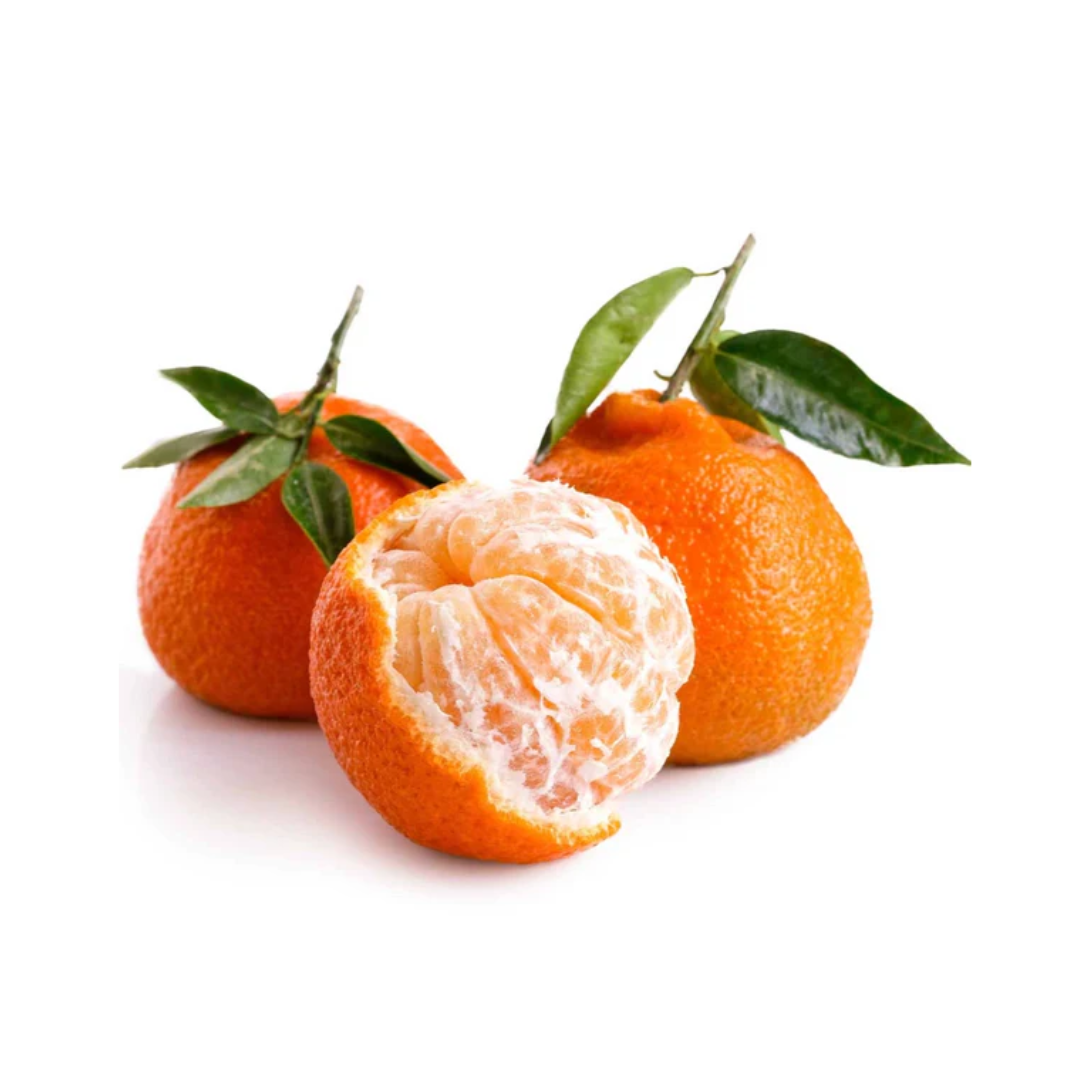 Satsuma Mandarins feast!